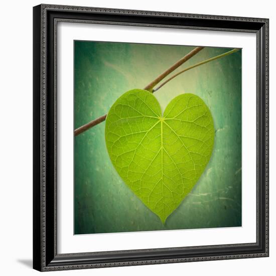 Nature Lover-Philippe Sainte-Laudy-Framed Photographic Print