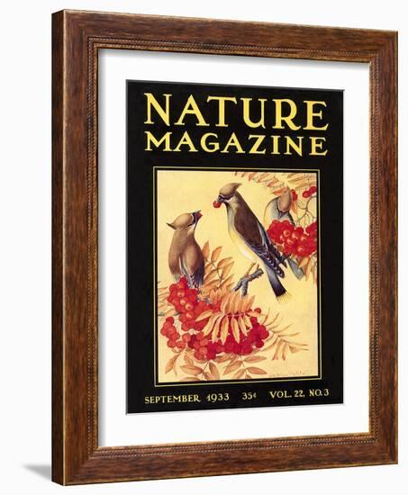 Nature Magazine Cover, Birds-null-Framed Art Print