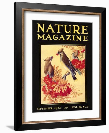 Nature Magazine Cover, Birds-null-Framed Art Print