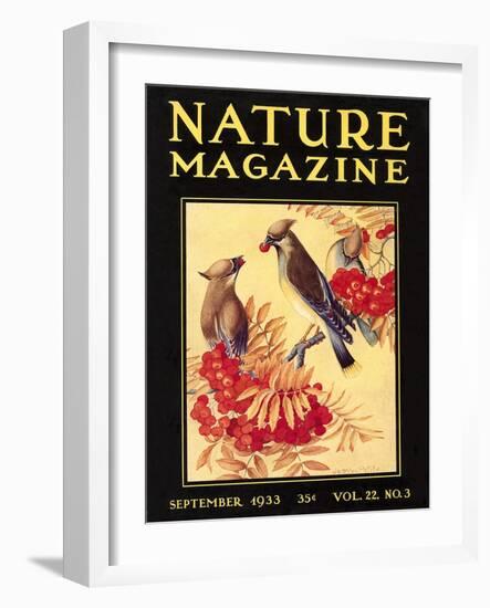 Nature Magazine Cover, Birds-null-Framed Art Print