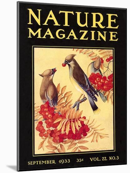 Nature Magazine Cover, Birds-null-Mounted Art Print