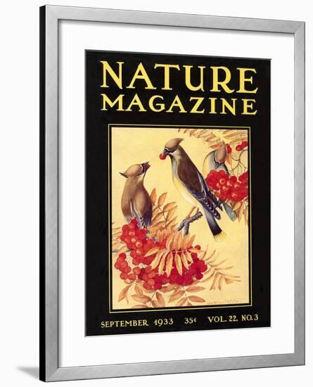 Nature Magazine Cover, Birds-null-Framed Art Print