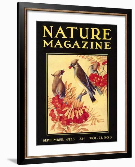 Nature Magazine Cover, Birds-null-Framed Art Print