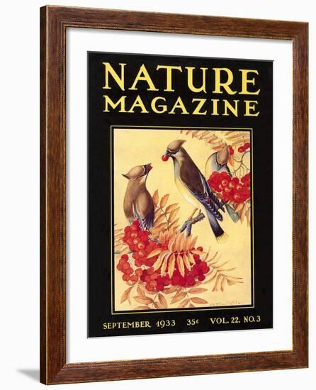 Nature Magazine Cover, Birds-null-Framed Art Print