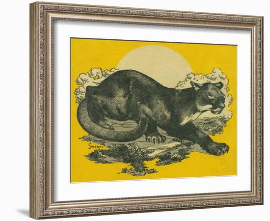 Nature Magazine - View of a Cougar, c.1948-Lantern Press-Framed Art Print