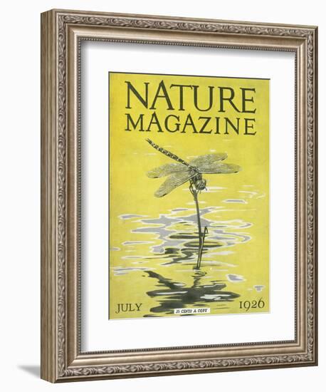 Nature Magazine - View of a Dragonfly over a Pond, c.1926-Lantern Press-Framed Art Print