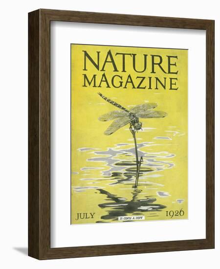 Nature Magazine - View of a Dragonfly over a Pond, c.1926-Lantern Press-Framed Art Print