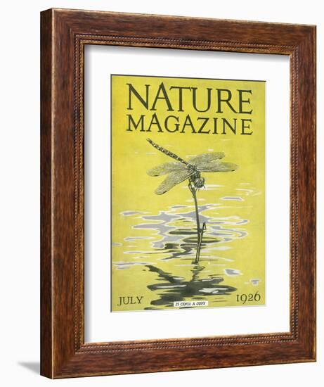 Nature Magazine - View of a Dragonfly over a Pond, c.1926-Lantern Press-Framed Art Print