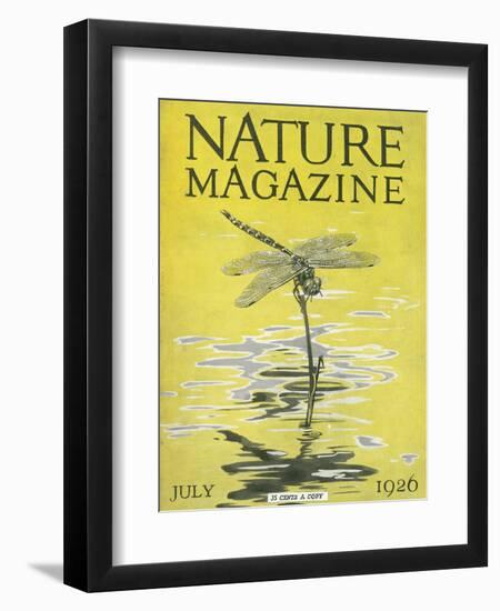 Nature Magazine - View of a Dragonfly over a Pond, c.1926-Lantern Press-Framed Art Print