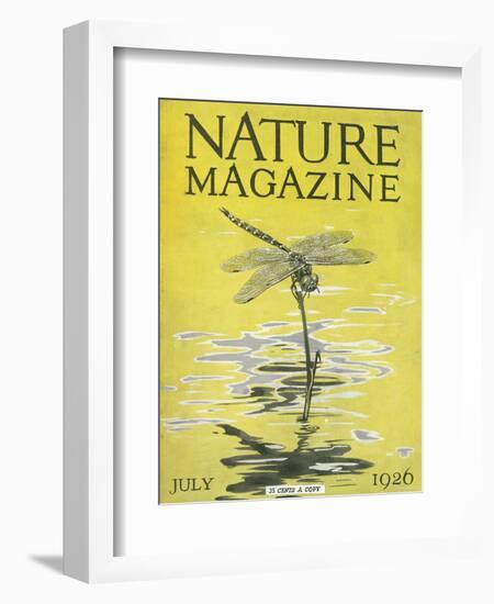 Nature Magazine - View of a Dragonfly over a Pond, c.1926-Lantern Press-Framed Art Print