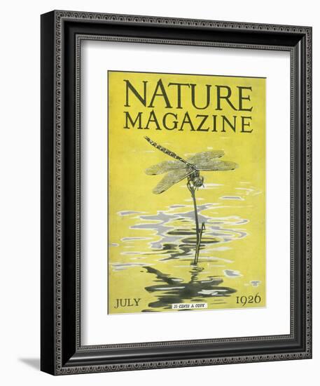 Nature Magazine - View of a Dragonfly over a Pond, c.1926-Lantern Press-Framed Art Print