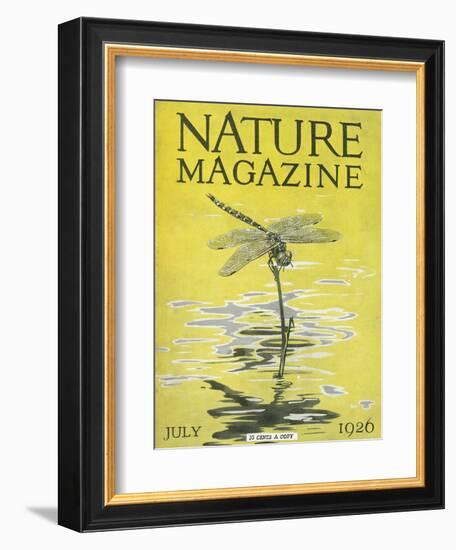 Nature Magazine - View of a Dragonfly over a Pond, c.1926-Lantern Press-Framed Art Print