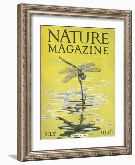 Nature Magazine - View of a Dragonfly over a Pond, c.1926-Lantern Press-Framed Art Print