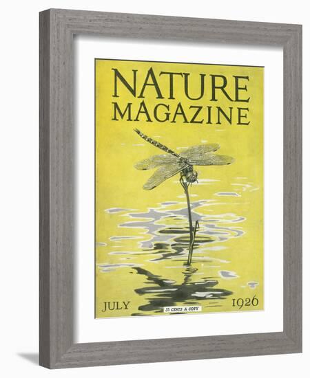 Nature Magazine - View of a Dragonfly over a Pond, c.1926-Lantern Press-Framed Art Print