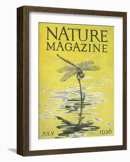 Nature Magazine - View of a Dragonfly over a Pond, c.1926-Lantern Press-Framed Art Print