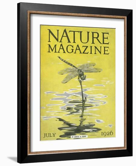 Nature Magazine - View of a Dragonfly over a Pond, c.1926-Lantern Press-Framed Art Print