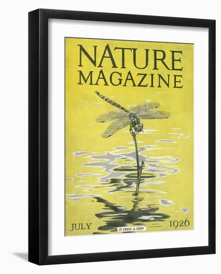 Nature Magazine - View of a Dragonfly over a Pond, c.1926-Lantern Press-Framed Art Print