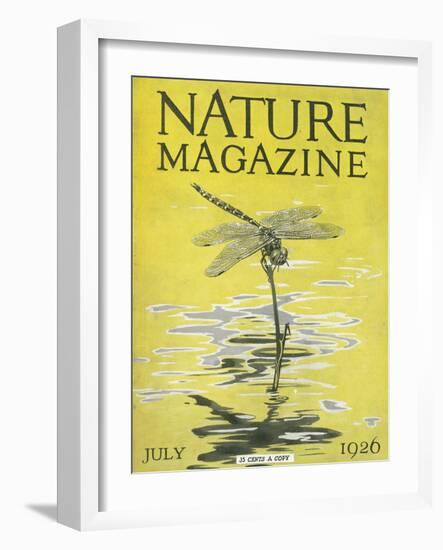 Nature Magazine - View of a Dragonfly over a Pond, c.1926-Lantern Press-Framed Art Print