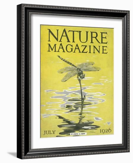 Nature Magazine - View of a Dragonfly over a Pond, c.1926-Lantern Press-Framed Art Print