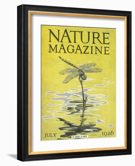 Nature Magazine - View of a Dragonfly over a Pond, c.1926-Lantern Press-Framed Art Print