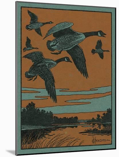 Nature Magazine - View of a Flock of Canadian Geese in Flight, c.1952-Lantern Press-Mounted Art Print