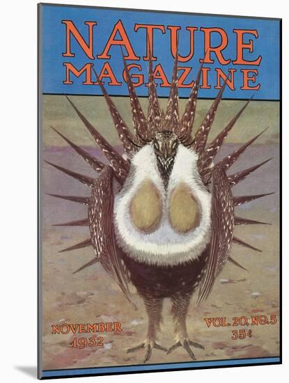 Nature Magazine - View of a Greater Sage-Grouse Bird All Puffed Up, c.1932-Lantern Press-Mounted Art Print