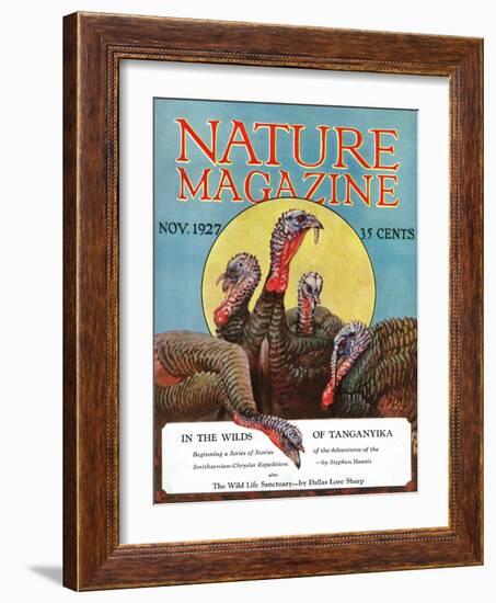 Nature Magazine - View of a Group of Turkeys, c.1927-Lantern Press-Framed Art Print