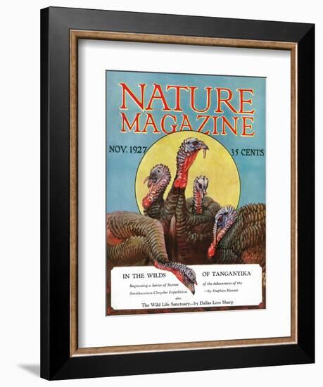 Nature Magazine - View of a Group of Turkeys, c.1927-Lantern Press-Framed Art Print