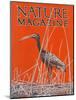 Nature Magazine - View of a Ibis in a Marsh, c.1926-Lantern Press-Mounted Art Print