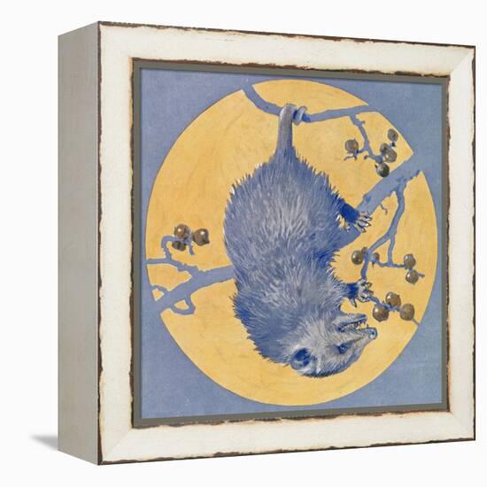 Nature Magazine - View of a Opossum Hanging Upside Down under a Full Moon, c.1926-Lantern Press-Framed Stretched Canvas