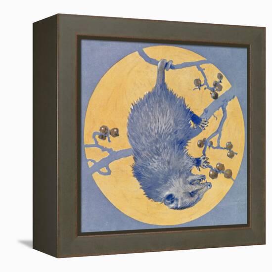 Nature Magazine - View of a Opossum Hanging Upside Down under a Full Moon, c.1926-Lantern Press-Framed Stretched Canvas