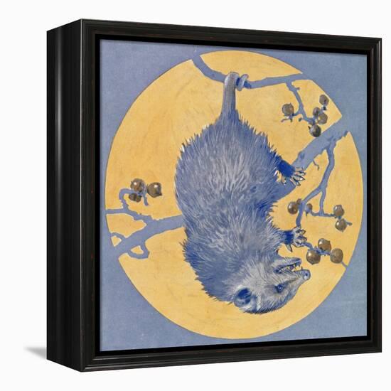 Nature Magazine - View of a Opossum Hanging Upside Down under a Full Moon, c.1926-Lantern Press-Framed Stretched Canvas