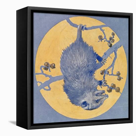 Nature Magazine - View of a Opossum Hanging Upside Down under a Full Moon, c.1926-Lantern Press-Framed Stretched Canvas