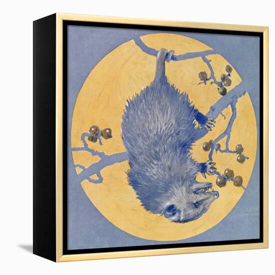 Nature Magazine - View of a Opossum Hanging Upside Down under a Full Moon, c.1926-Lantern Press-Framed Stretched Canvas