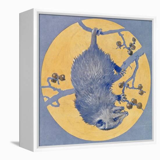 Nature Magazine - View of a Opossum Hanging Upside Down under a Full Moon, c.1926-Lantern Press-Framed Stretched Canvas