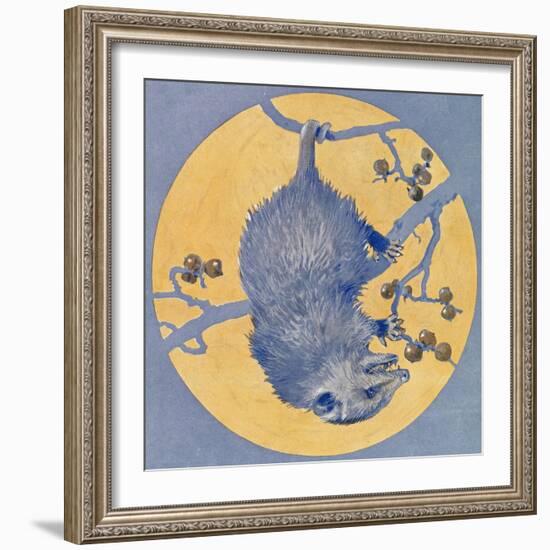 Nature Magazine - View of a Opossum Hanging Upside Down under a Full Moon, c.1926-Lantern Press-Framed Art Print