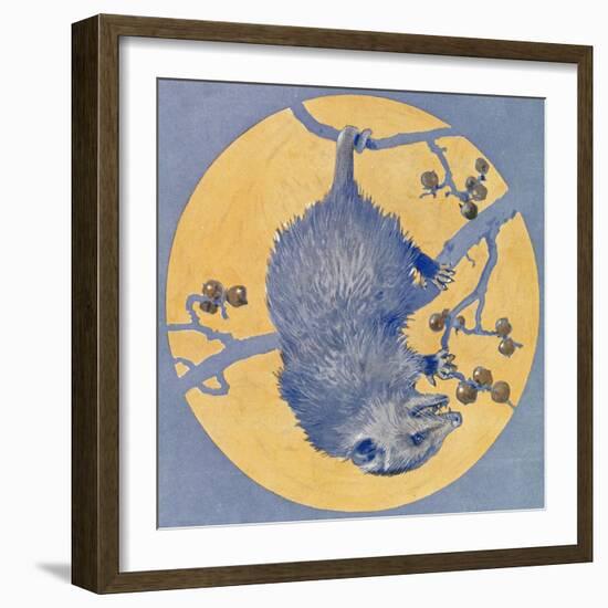 Nature Magazine - View of a Opossum Hanging Upside Down under a Full Moon, c.1926-Lantern Press-Framed Art Print