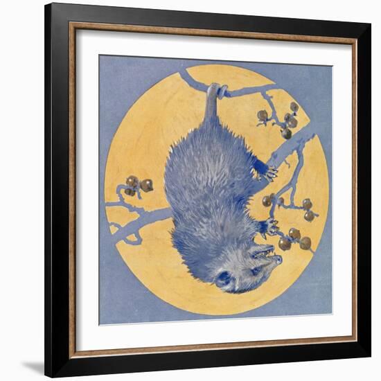 Nature Magazine - View of a Opossum Hanging Upside Down under a Full Moon, c.1926-Lantern Press-Framed Art Print