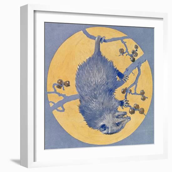 Nature Magazine - View of a Opossum Hanging Upside Down under a Full Moon, c.1926-Lantern Press-Framed Art Print