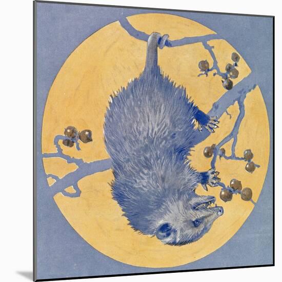 Nature Magazine - View of a Opossum Hanging Upside Down under a Full Moon, c.1926-Lantern Press-Mounted Art Print