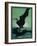 Nature Magazine - View of a Pair of Black Swans in Flight, c.1931-Lantern Press-Framed Art Print