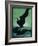 Nature Magazine - View of a Pair of Black Swans in Flight, c.1931-Lantern Press-Framed Art Print