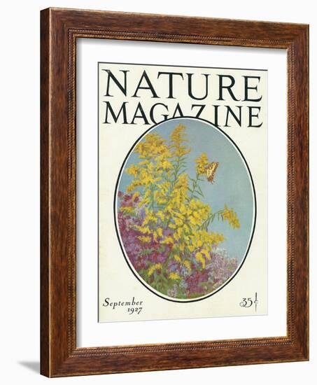 Nature Magazine - View of Blooming Flowers and a Butterfly, c.1927-Lantern Press-Framed Art Print