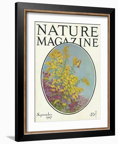 Nature Magazine - View of Blooming Flowers and a Butterfly, c.1927-Lantern Press-Framed Art Print