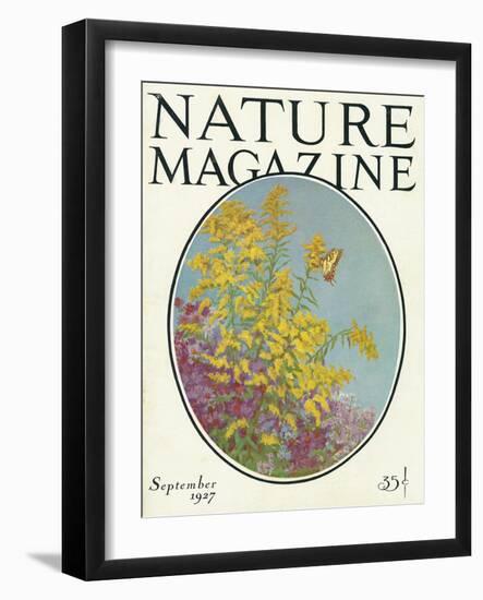 Nature Magazine - View of Blooming Flowers and a Butterfly, c.1927-Lantern Press-Framed Art Print