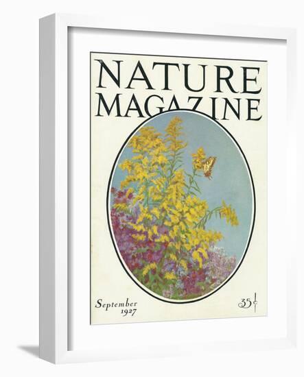 Nature Magazine - View of Blooming Flowers and a Butterfly, c.1927-Lantern Press-Framed Art Print