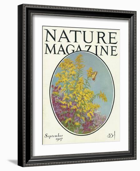 Nature Magazine - View of Blooming Flowers and a Butterfly, c.1927-Lantern Press-Framed Art Print