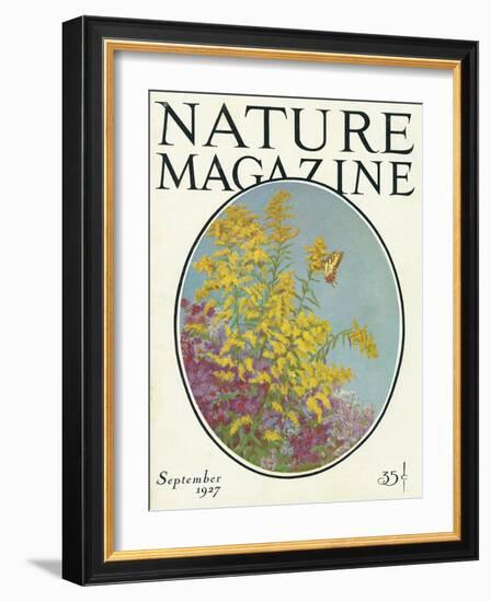 Nature Magazine - View of Blooming Flowers and a Butterfly, c.1927-Lantern Press-Framed Art Print