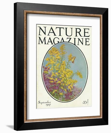 Nature Magazine - View of Blooming Flowers and a Butterfly, c.1927-Lantern Press-Framed Art Print