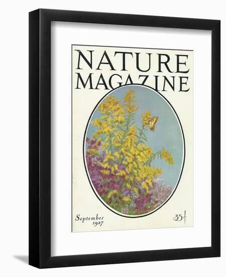 Nature Magazine - View of Blooming Flowers and a Butterfly, c.1927-Lantern Press-Framed Art Print